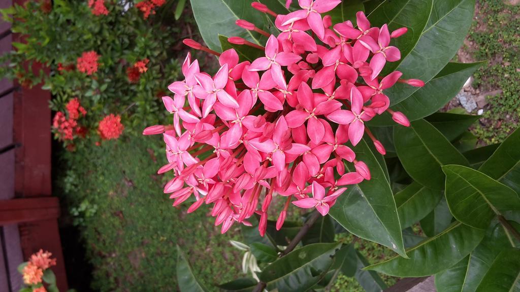 Rekona Lodge กิโซ ภายนอก รูปภาพ