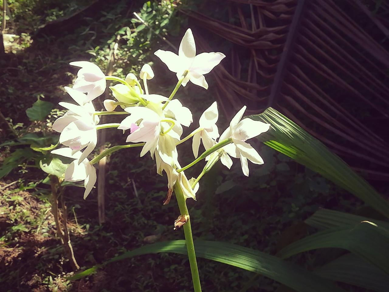Rekona Lodge กิโซ ภายนอก รูปภาพ
